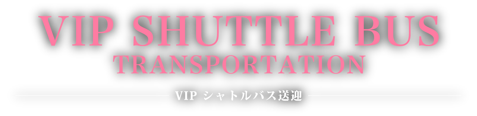VIP SHUTTLE BUS TRANSPORTATION VIP シャトルバス送迎